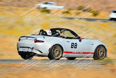 media/Nov-16-2024-Extreme Speed (Sat) [[6587d07cc4]]/Gold Group/Session 2 (Turns 3 and 5)/